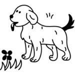 FutterergΓ€nzung