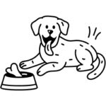 Nassfutter