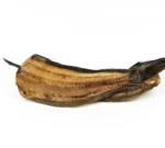 wels karkassen - naturkauartikel - kauartikel hund - anbri