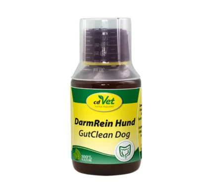 DarmRein-Hund