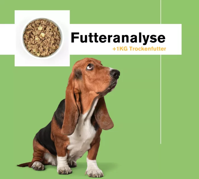 Futteranalyse-1kg