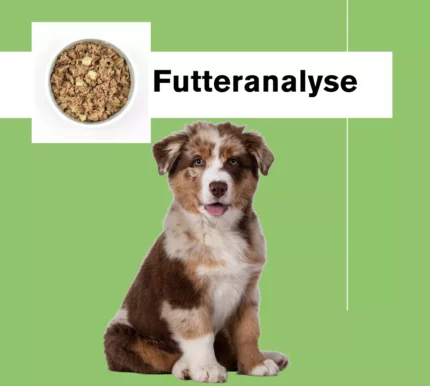 Futteranalyse
