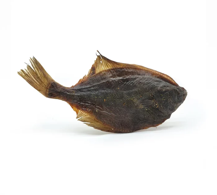 flunder - naturkauartikel - kauartikel hund - anbri