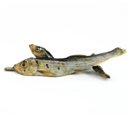 sprotten - naturkausnack - kausnack hund - anbri