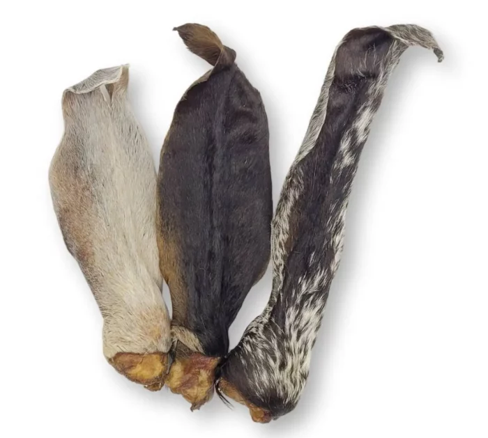 ziegenohren - naturkauartikel - kauartikel hund - anbri