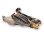 ziegenohren - naturkauartikel - kauartikel hund - anbri