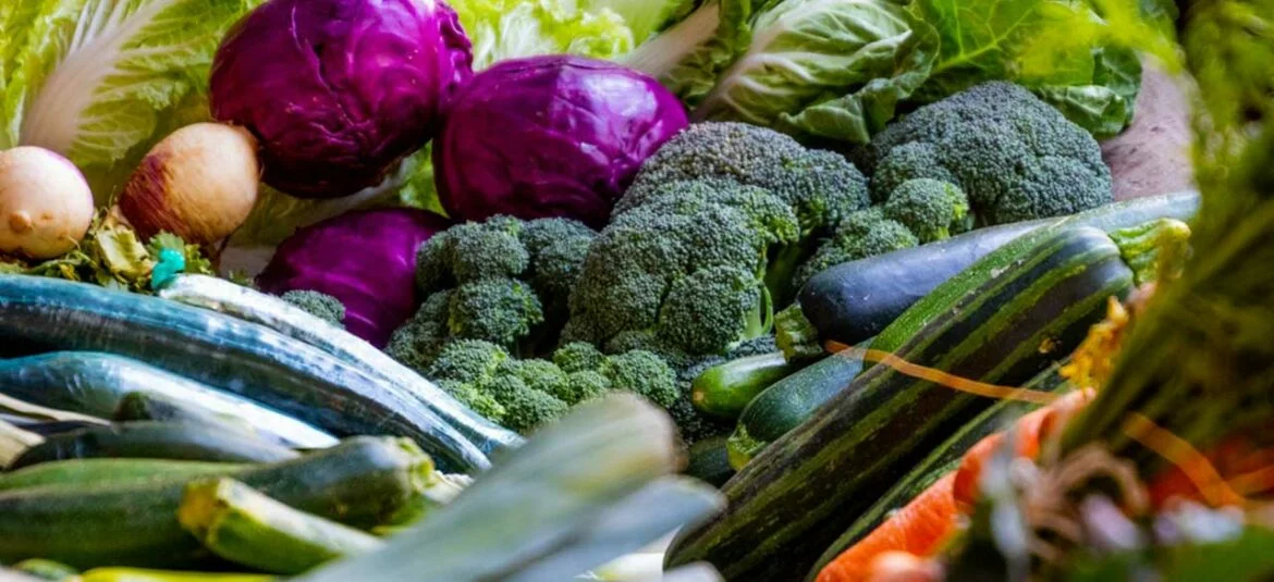 Giftige Lebensmittel für Hunde24