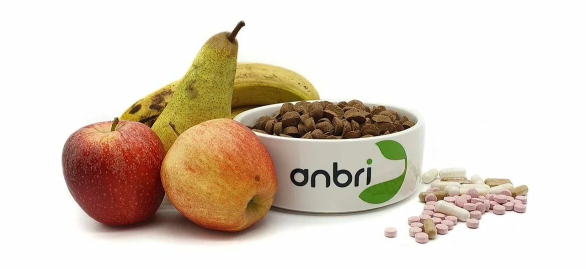 Synthetische Zusatzstoffe im Hundefutter1.jpg