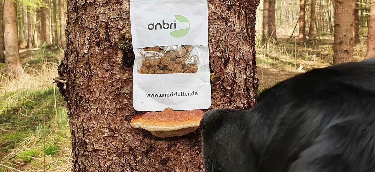 Vom-Alleinfutter-zum-Ergaenzungsfuttermittel