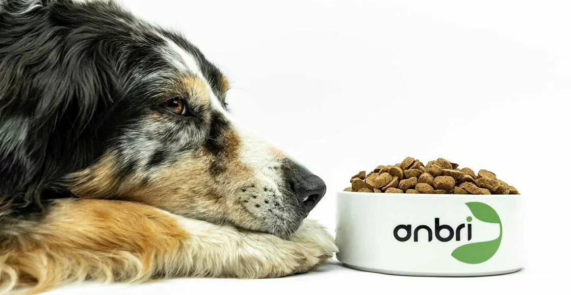 gebackenes Hundefutter