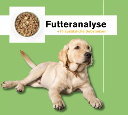 anbri - futteranalyse - gebackenes trockenfutter - nassfutter - kauartikel - kausnacks