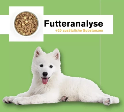 anbri - futteranalyse - gebackenes trockenfutter - nassfutter - kauartikel - kausnacks