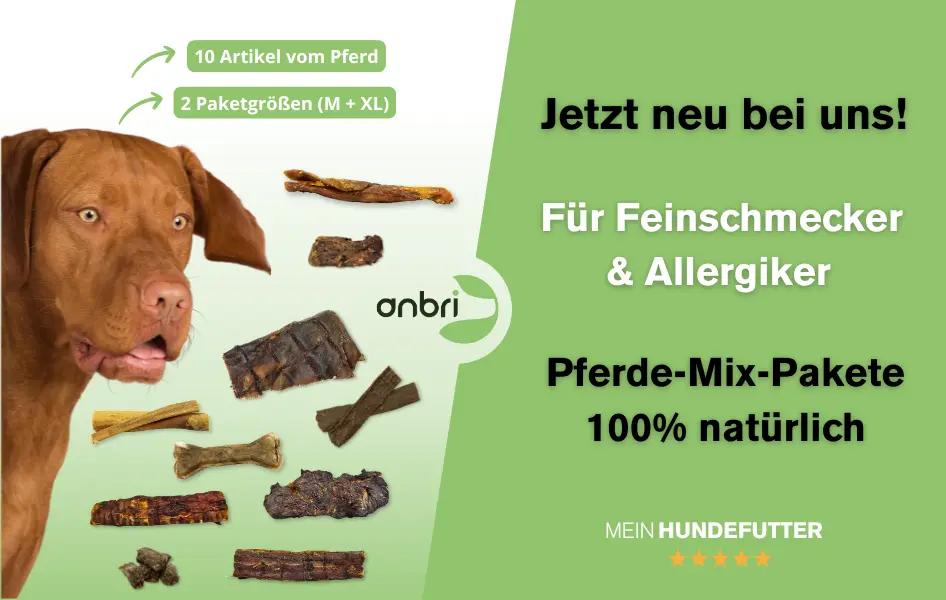 anbri - kauartikel pferd - pferde mix paket