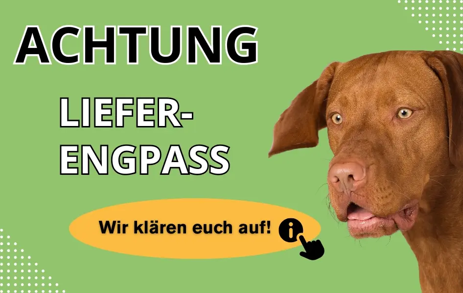 anbri - gebackenes hundefutter - trockenfutter hund